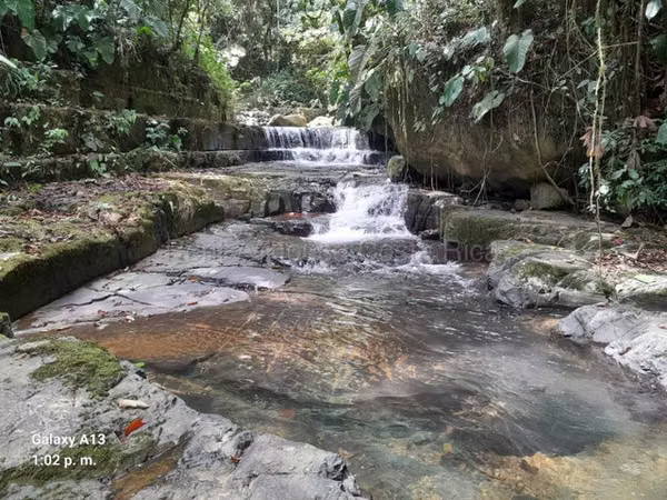 Venta de Finca en Peréz Zeledón-Páramo. 