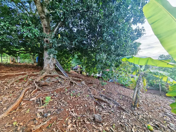 Casa con amplio terreno en venta en San Pedro de Zapotal, Nandayure, Guanacaste (FB)