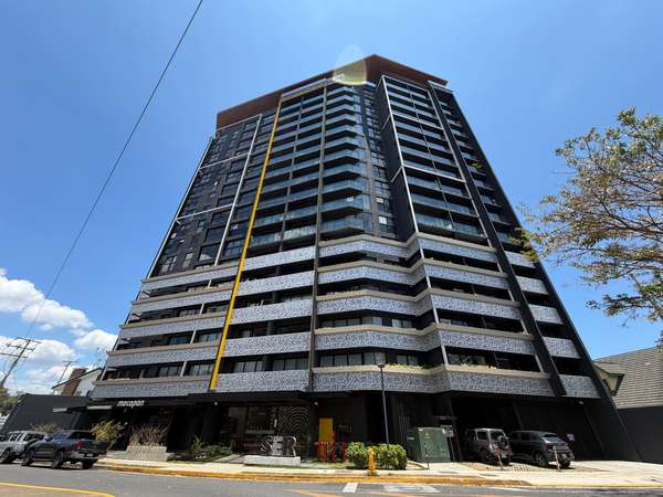Beautiful Full Studio Equipped In SER Escalante