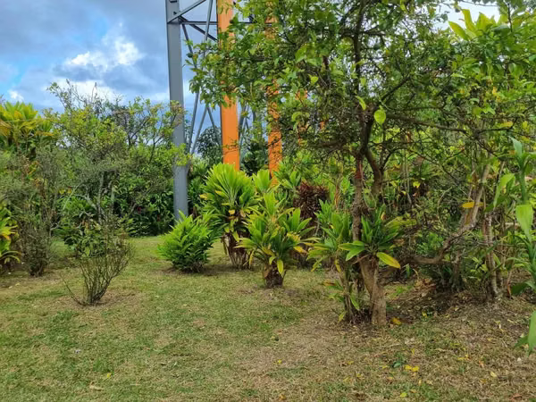 Zapote Terreno Suelo Mixto