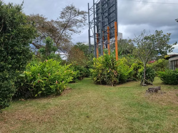 Zapote Terreno Suelo Mixto