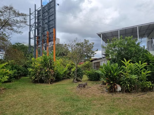 Zapote Terreno Suelo Mixto
