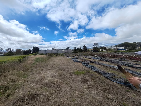 TERRENO COMERCIAL–INDUSTRIAL EN VENTA | DULCE NOMBRE, CARTAGO