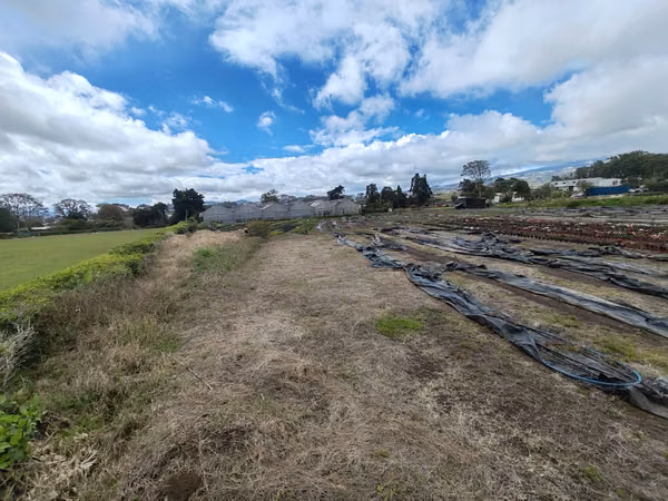 TERRENO COMERCIAL–INDUSTRIAL EN VENTA | DULCE NOMBRE, CARTAGO