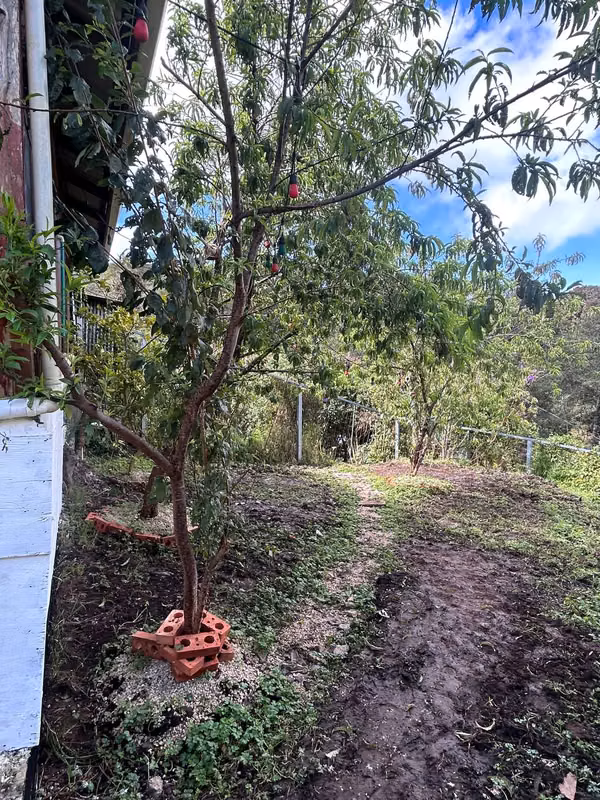 Hermosas cabañas con rancho.
