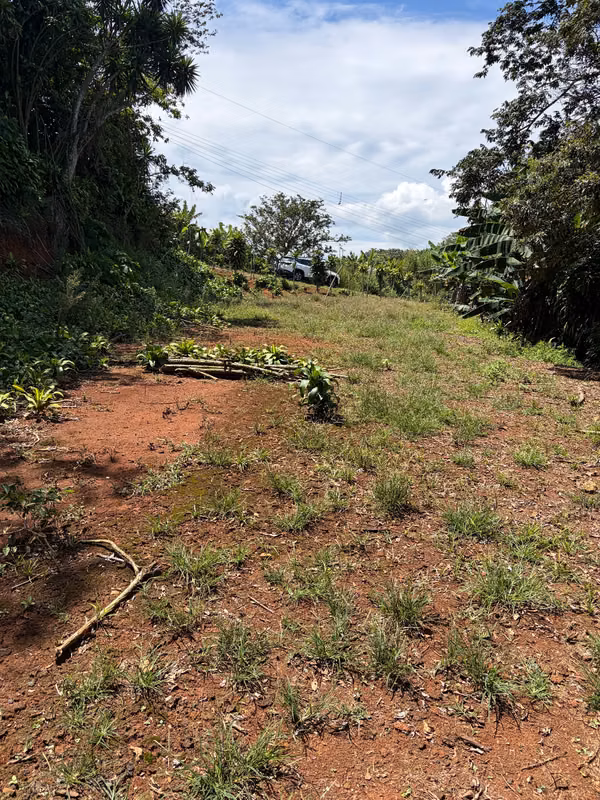 VENTA DE LOTE, CON VISTA, LA CIMA DE SAN RAMÓN, ALAJUELA