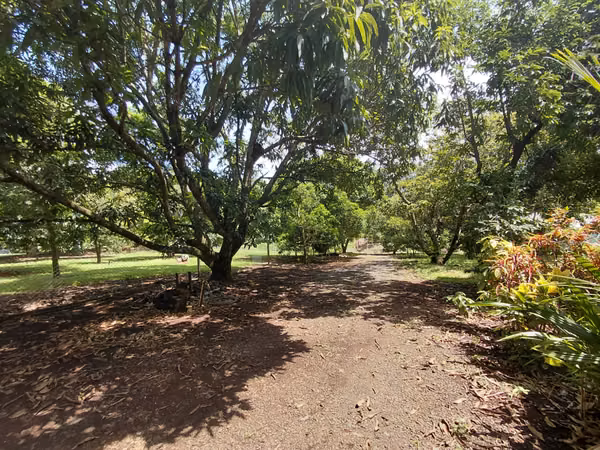 Casa de 2 cuartos con piscina, rancho y amplio terreno - A pocos minutos de la playa - Labrador, San Mateo, Alajuela