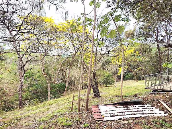 Venta finca OROTINA  Bajamar 70 MILL COL FINANCIAMIENTO