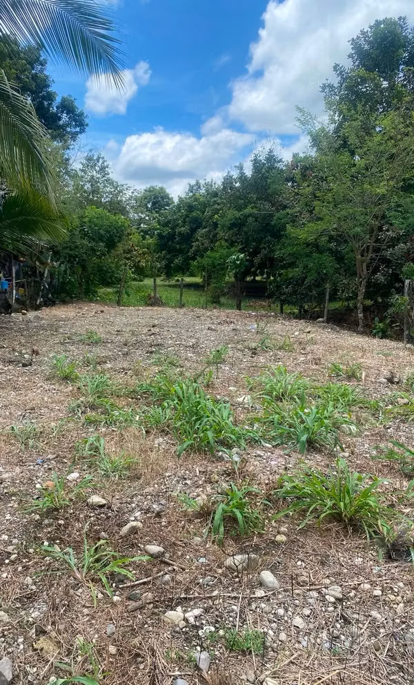 Land is sold in Paso Canoas
