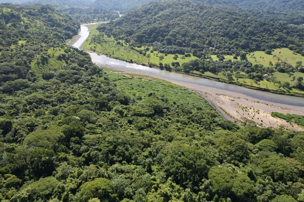 I would like to share with you the Investment Brief of Capulin Sanctuary, a property of 12.23 hectar
