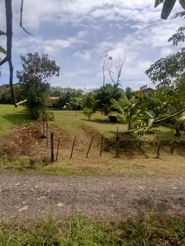 Precio lote en zona privilegiada San Ramón de Peñas Blancas carretera a La Fortuna