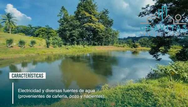 Sale of livestock estate in San Carlos Pital - 124; 1500 Ha - 124; F 733