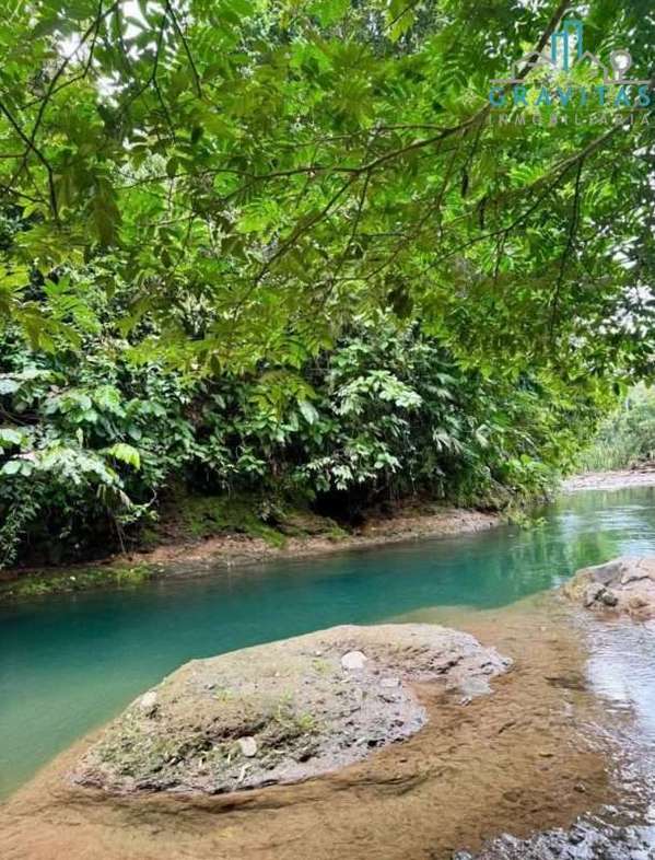 Sale of property in La Fortuna San Carlos, 124; 7 hectares, 124; F 735