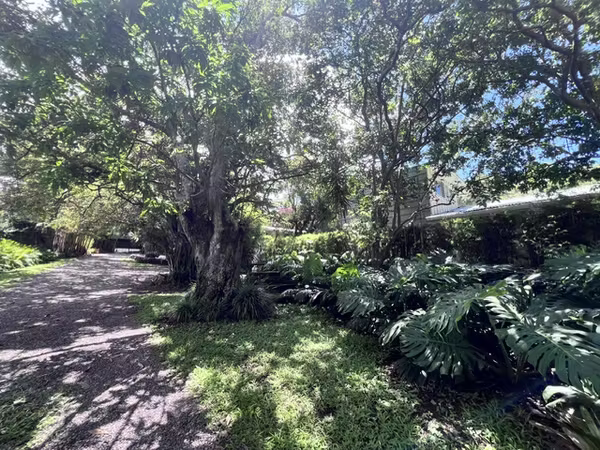ALQUILER | CASA AMUEBLADA Y EQUIPADA DE UN PISO | CONDOMINIO EN ESCAZÚ