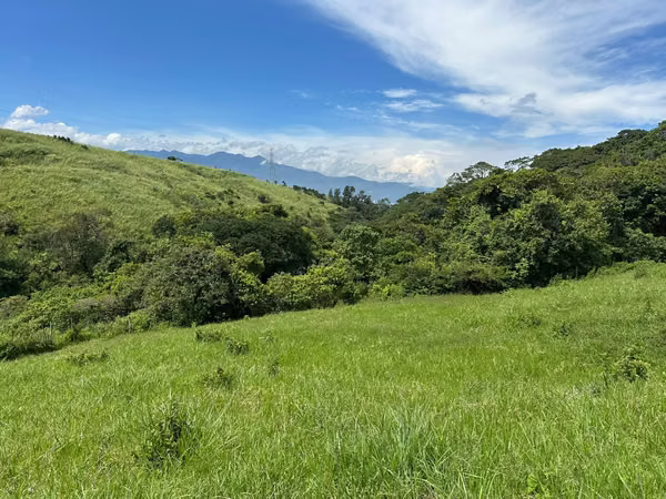 LAND FOR SALE IDEAL FOR REAL ESTATE DEVELOPMENT - SUNDAY OF HEREDIA 14.394