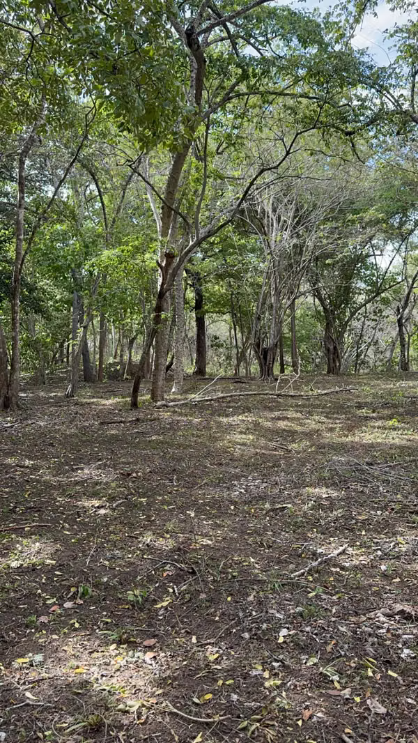 Se vende finca de 5.000 m² con acceso a río en Bagaces, Guanacaste
