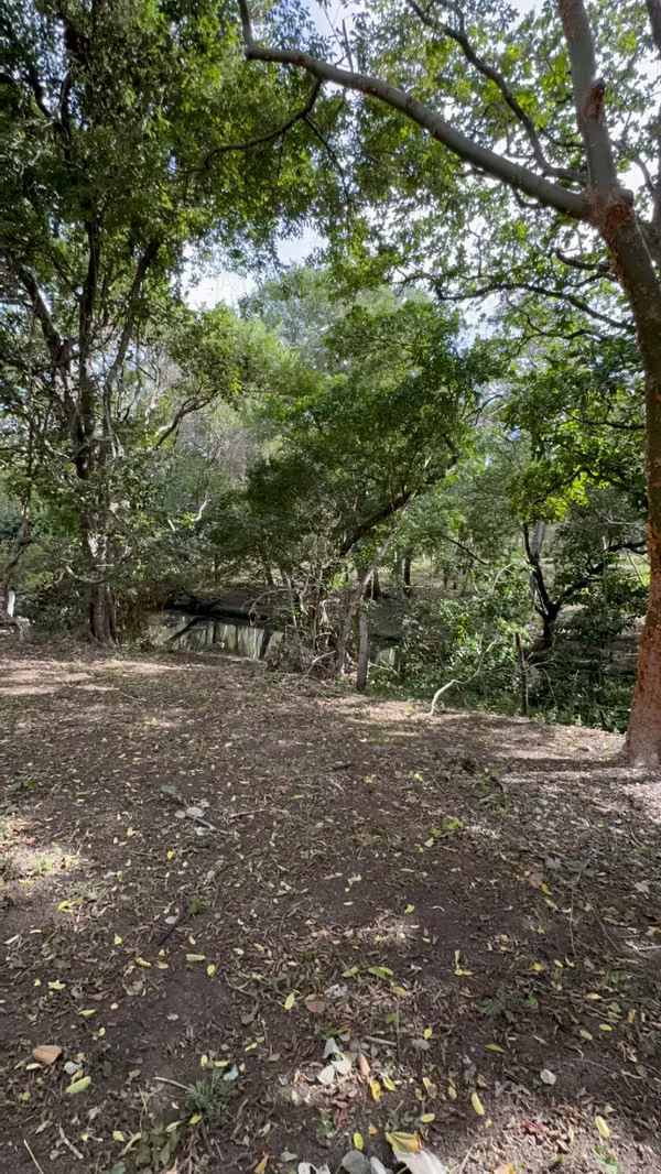 Se vende finca de 5.000 m² con acceso a río en Bagaces, Guanacaste