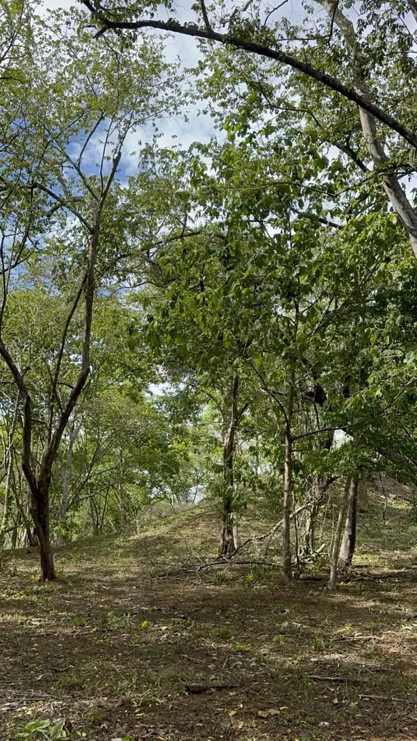 Se vende finca de 5.000 m² con acceso a río en Bagaces, Guanacaste
