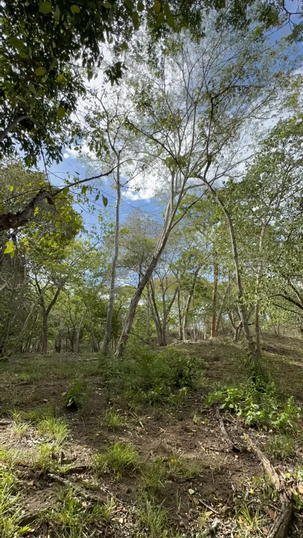 Se vende finca de 5.000 m² con acceso a río en Bagaces, Guanacaste