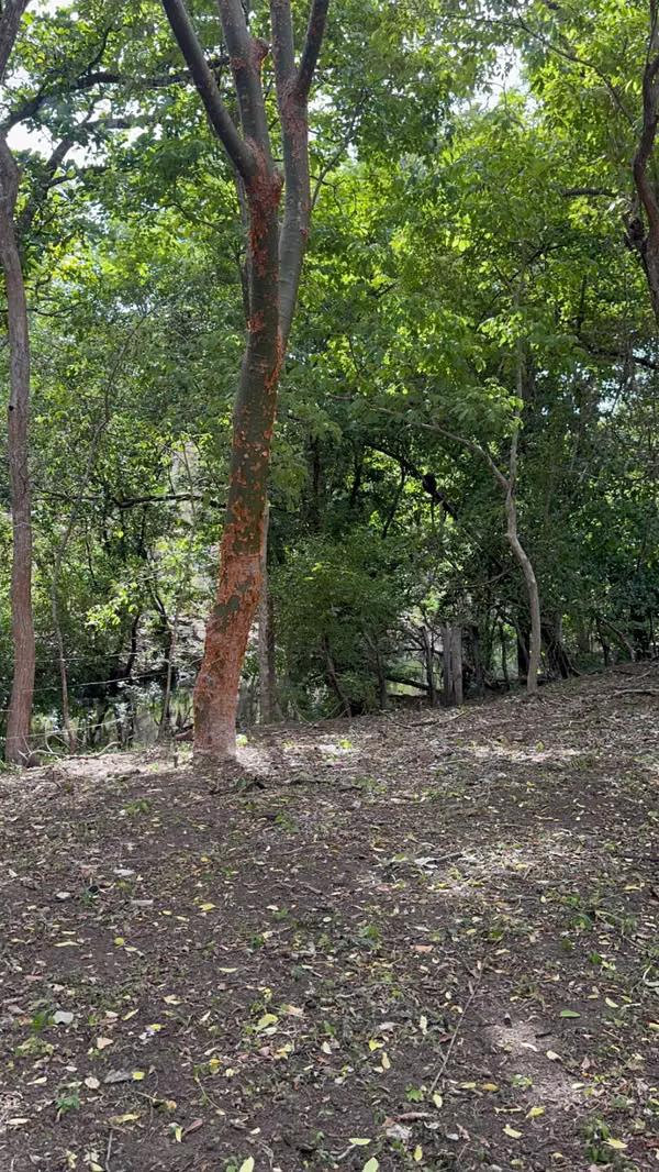 Se vende finca de 5.000 m² con acceso a río en Bagaces, Guanacaste