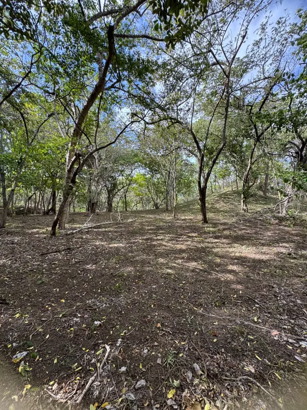 Se vende finca de 5.000 m² con acceso a río en Bagaces, Guanacaste