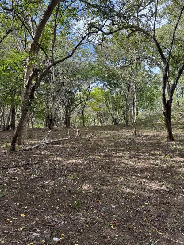 Se vende finca de 5.000 m² con acceso a río en Bagaces, Guanacaste