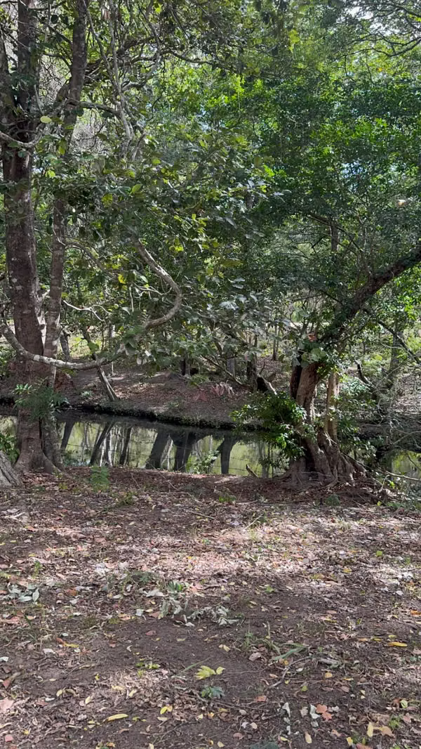 Se vende finca de 5.000 m² con acceso a río en Bagaces, Guanacaste