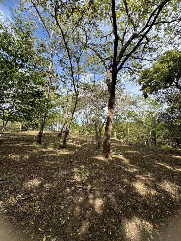 Se vende finca de 5.000 m² con acceso a río en Bagaces, Guanacaste