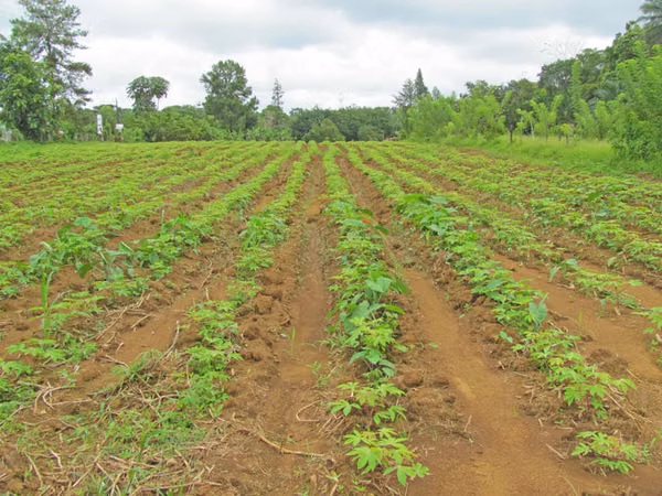 Finca de 3 Hectáreas con parte loteada, en La Virgen de Sarapiquí, Heredia