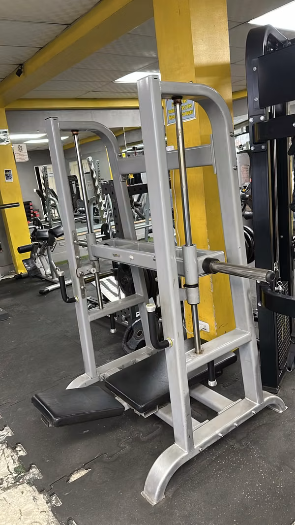 Vertical press machine