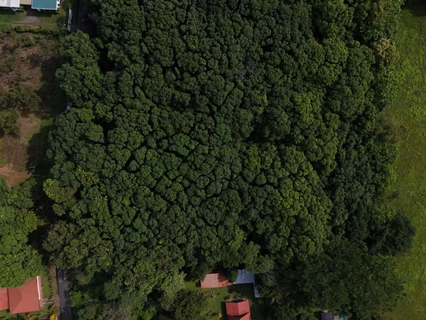 Lote en Venta San Mateo de Orotina 400 m² – 15 Millones