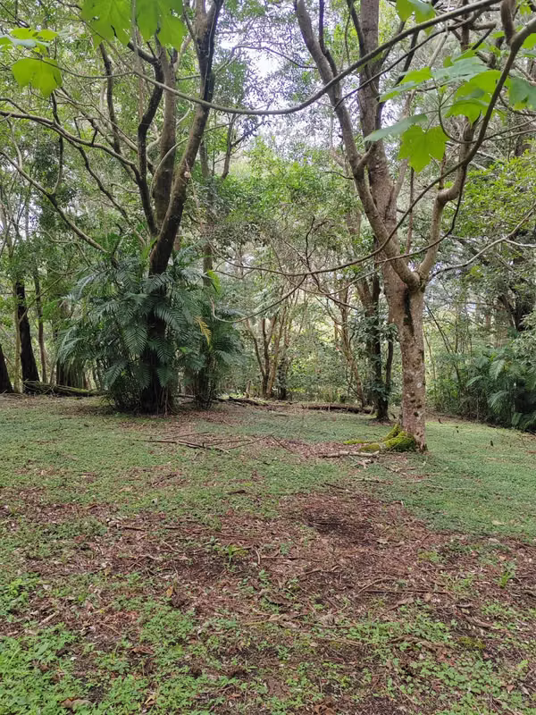 Se venden 2 terrenos contiguos en San José de la Montaña - Residencial La Suiza de Occidente