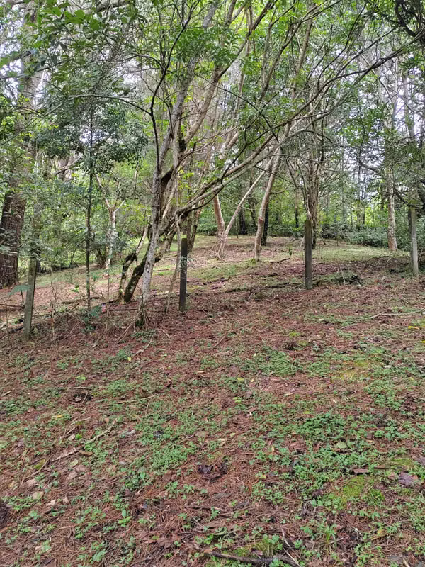 Se venden 2 terrenos contiguos en San José de la Montaña - Residencial La Suiza de Occidente