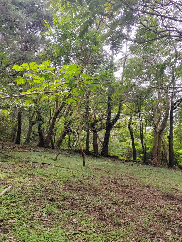Se venden 2 terrenos contiguos en San José de la Montaña - Residencial La Suiza de Occidente