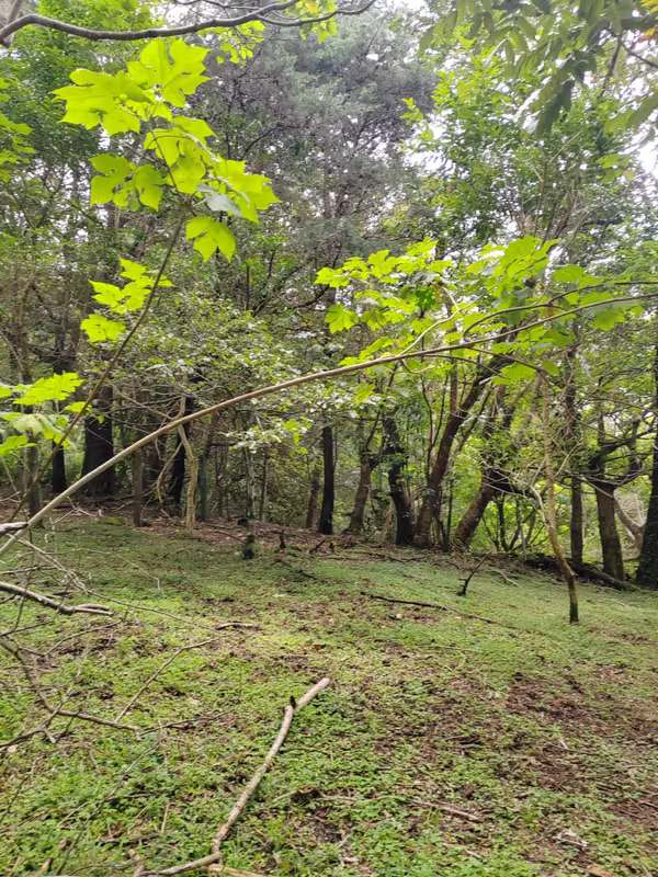 Se venden 2 terrenos contiguos en San José de la Montaña - Residencial La Suiza de Occidente