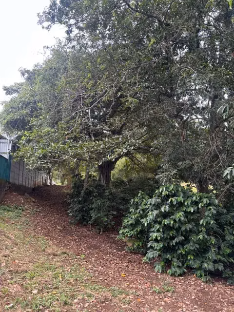 8223 m² Terreno en Atenas, Alajuela: Desarrollo Privado en Entorno Natural