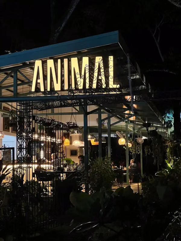 Restaurante y bar próspero con temática animal en Hermosa Playa | Proyecto comercial llave en mano