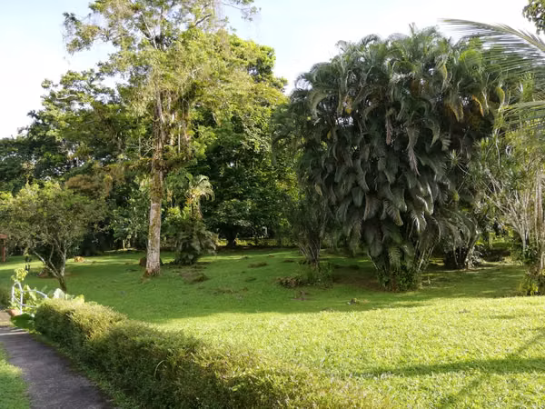 CASA CON AMPLIO TERRENO SE VENDE, JIMENEZ, POCOCI, LIMON