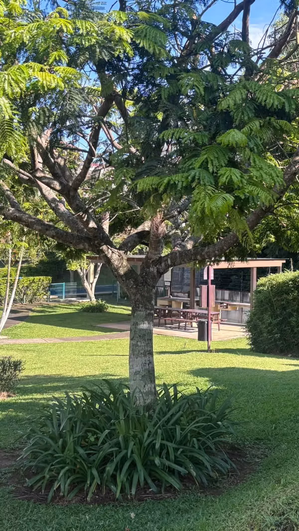 Apartamento en Condominio Torres del Sol