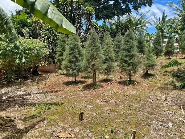 ID #1612 TRES RIOS CONCEPCION RESIDENCIAL MONSERRAT LINDO LOTE
