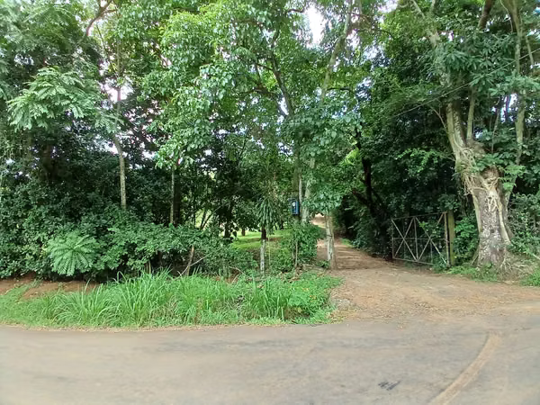 SE VENDE LOTE | San José Picares