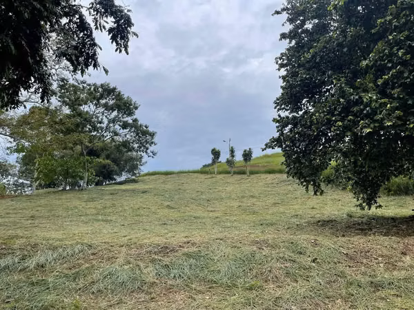 Terreno en venta en Naranjo