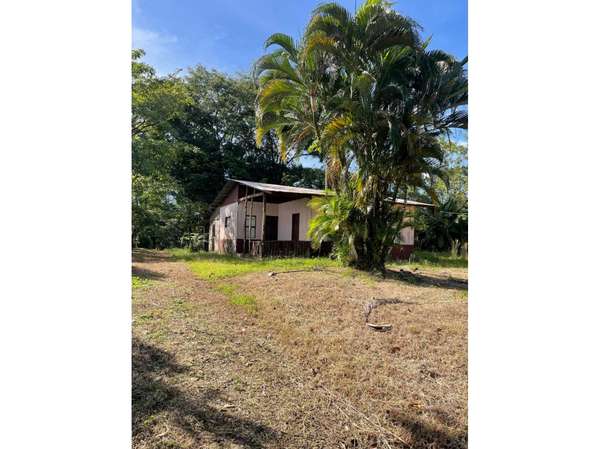 Finca en Venta en Upala | 7 Hectáreas Planas Producción de Piña