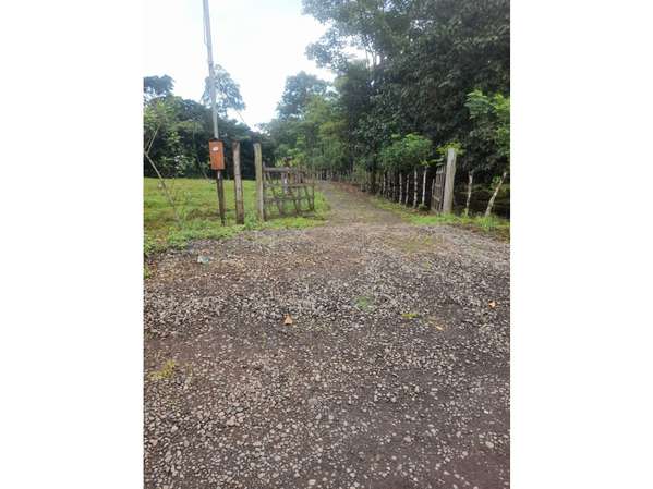 Finca en Venta en Upala | 7 Hectáreas con Infraestructura Ganadera