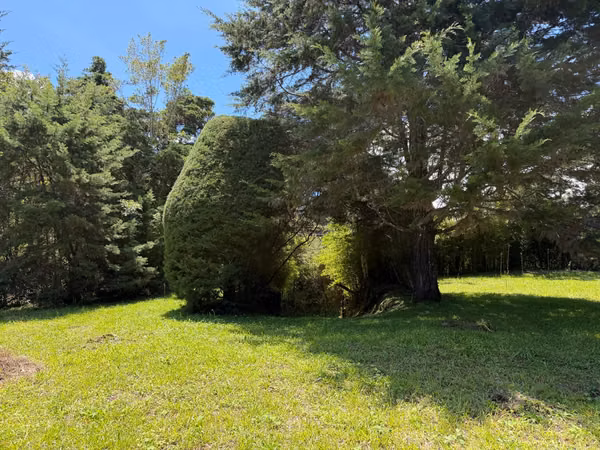Lote de montaña, San Rafael de Heredia ,Bosque de la hoja