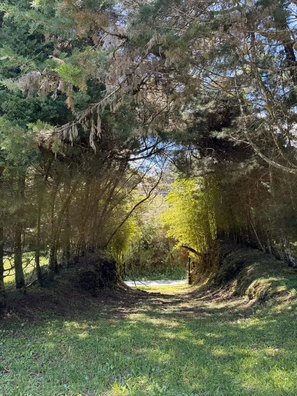 Lote de montaña, San Rafael de Heredia ,Bosque de la hoja
