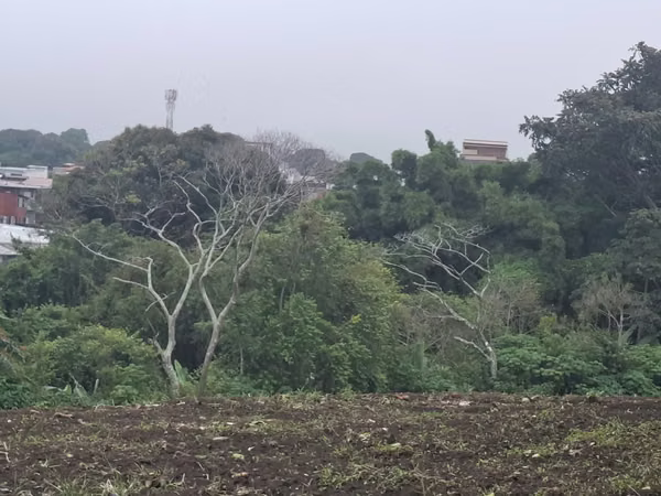 Lote plano mixto de alta densidad en Coronado