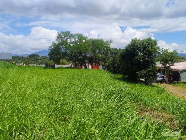 Extensive Land for Development in Alajuela, Pasito Street