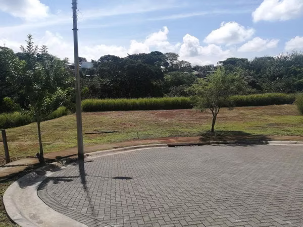 MAESTRO FARM - 124; 853 M2 MONTEZUMA CONDO