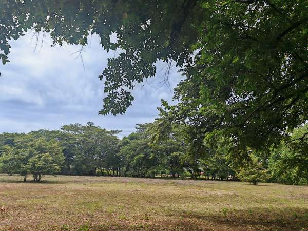 Beautiful land sold in Sardinal Guanacaste